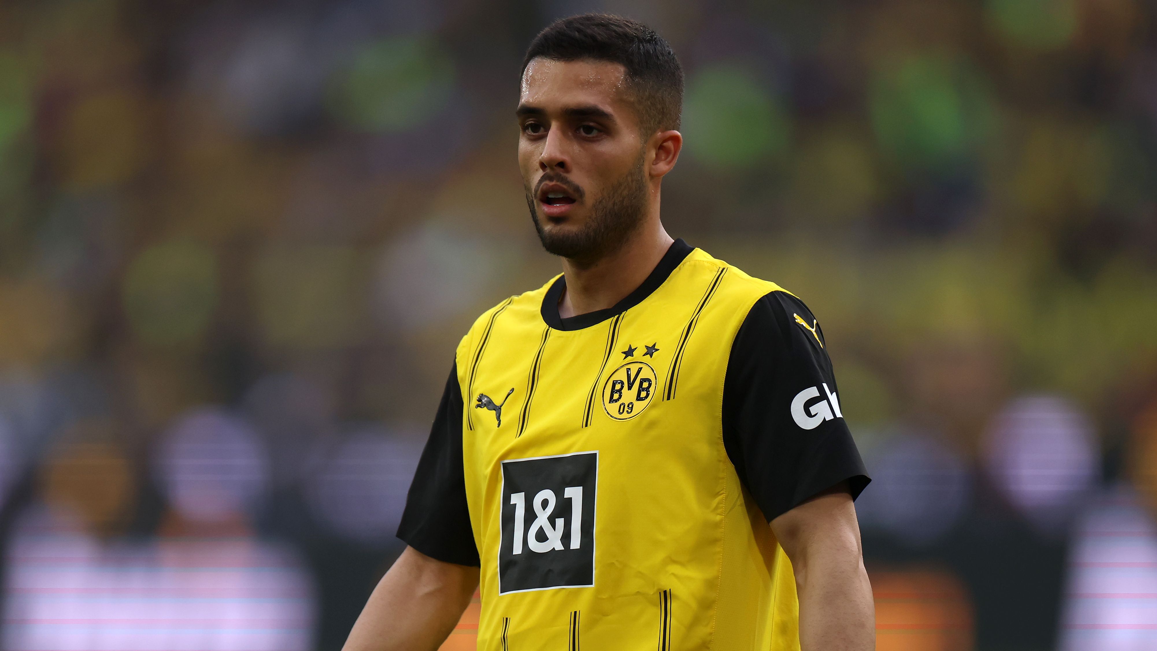 Borussia Dortmund star says Germany is 'cold' and the people are 'withdrawn' as he opens up on struggle of moving to Bundesliga side