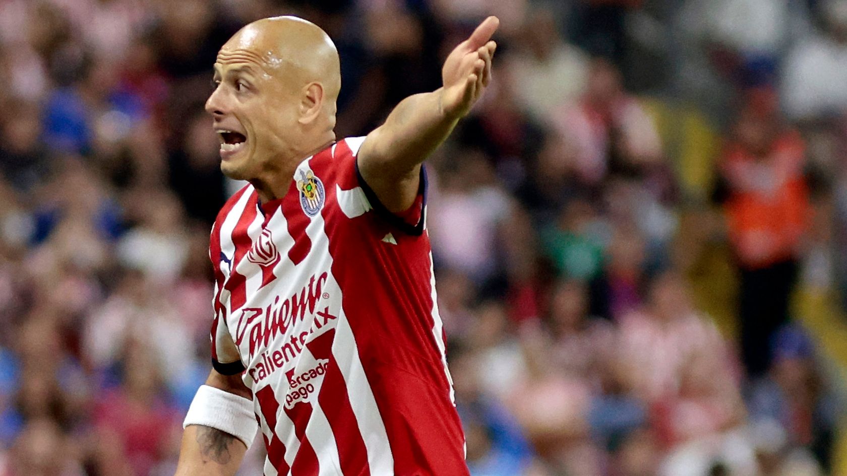 Chivas striker Javier 'Chicharito' Hernández fined, given warning as Mexican Football Federation launches investigation into sexist social media posts