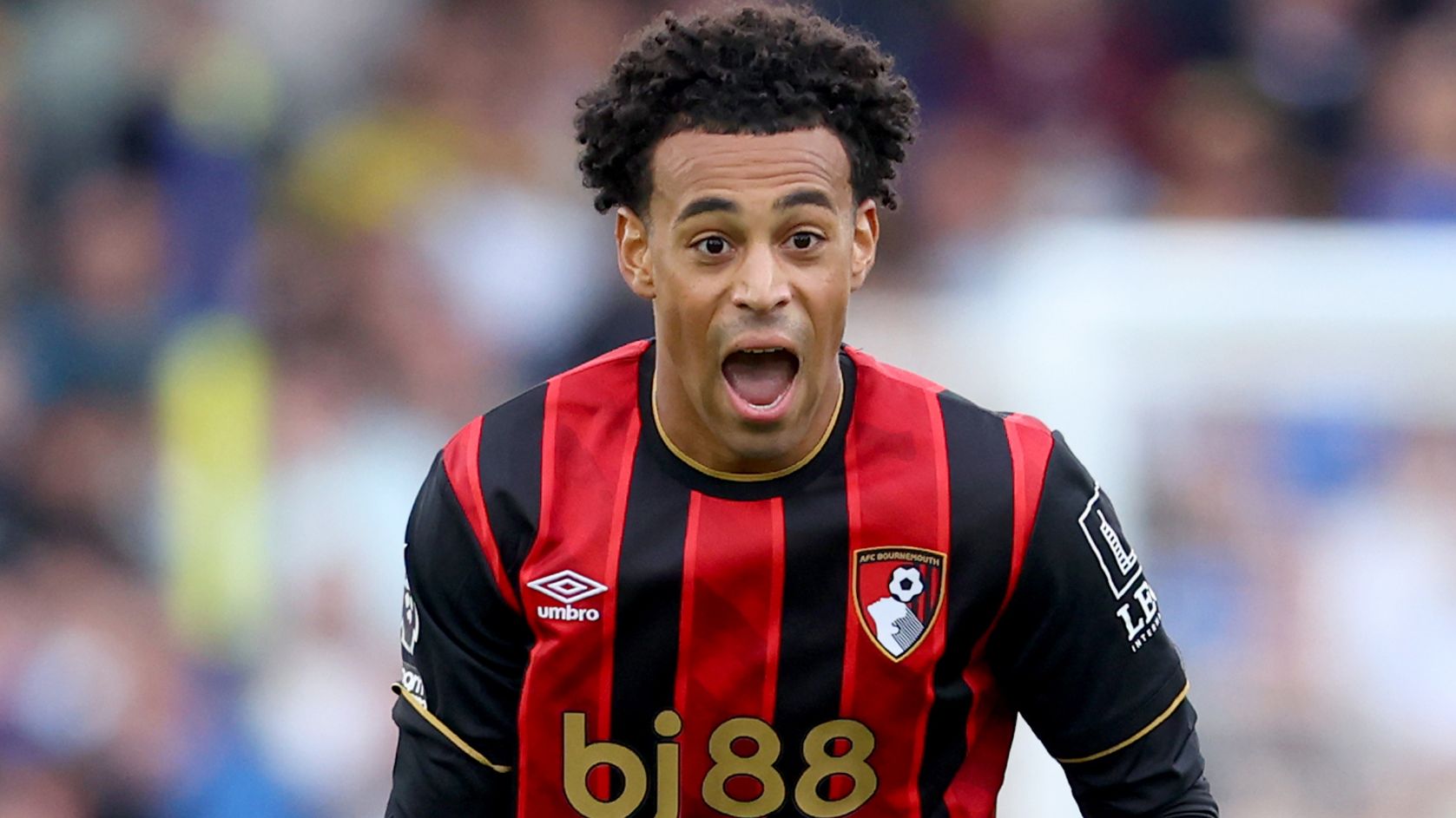 USMNT star Tyler Adams scores outrageous 43-yard wondergoal for Bournemouth against Sunderland