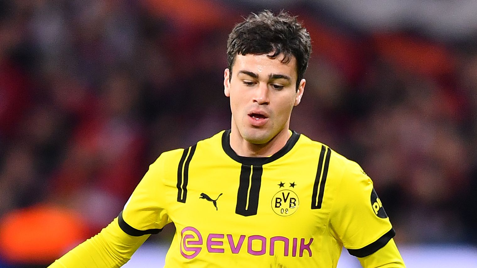Gio Reyna agrees to become latest USMNT star to make Serie A transfer but Borussia Dortmund yet to be convinced following €6m offer