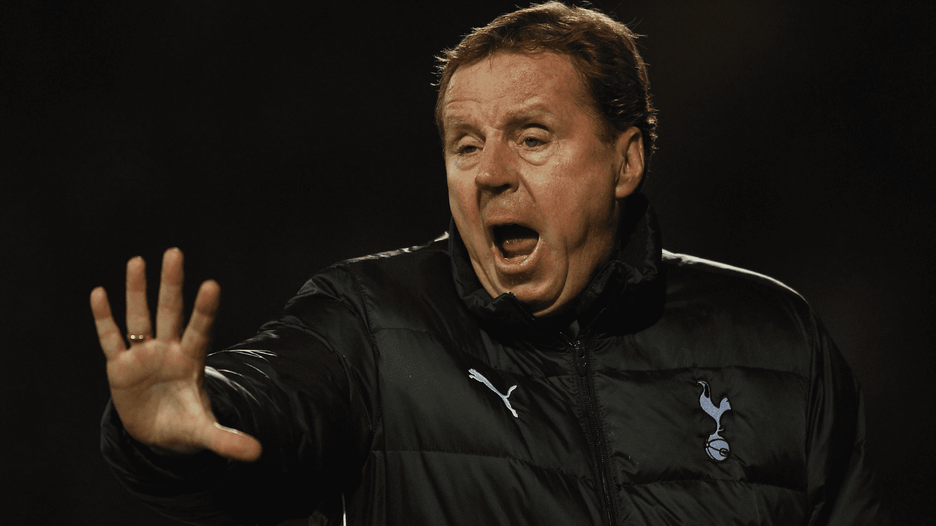 Former Spurs manager Harry Redknapp left 'stunned' after BOAT crashes into garden of £7m ‘dream home’