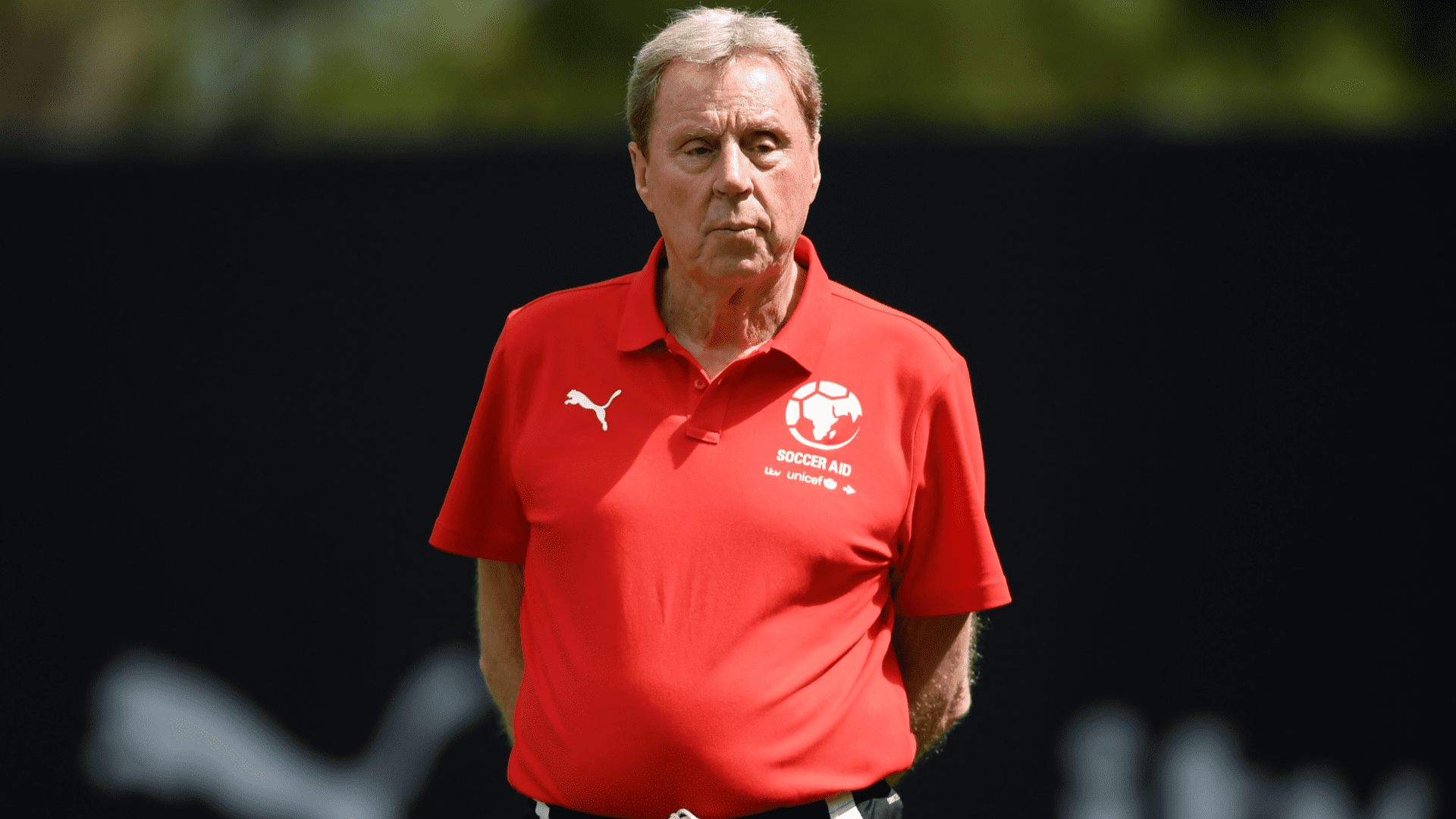 Ex-Tottenham boss Harry Redknapp sees £5m home targeted by hammer-wielding thieves as they steal wife Sandra's jewellery and spark police investigation