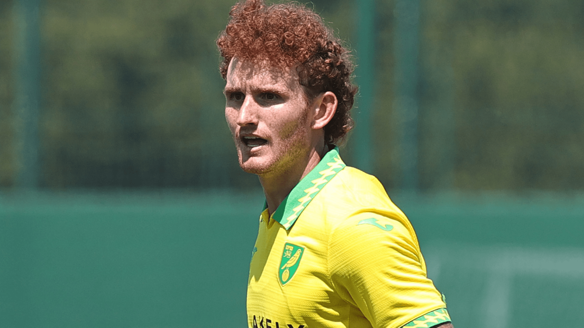 USMNT Transfers: Injury situation at AC Milan might force Yunus Musah to stay, Josh Sargent's price is rising and St. Louis reportedly interested in Griffin Yow