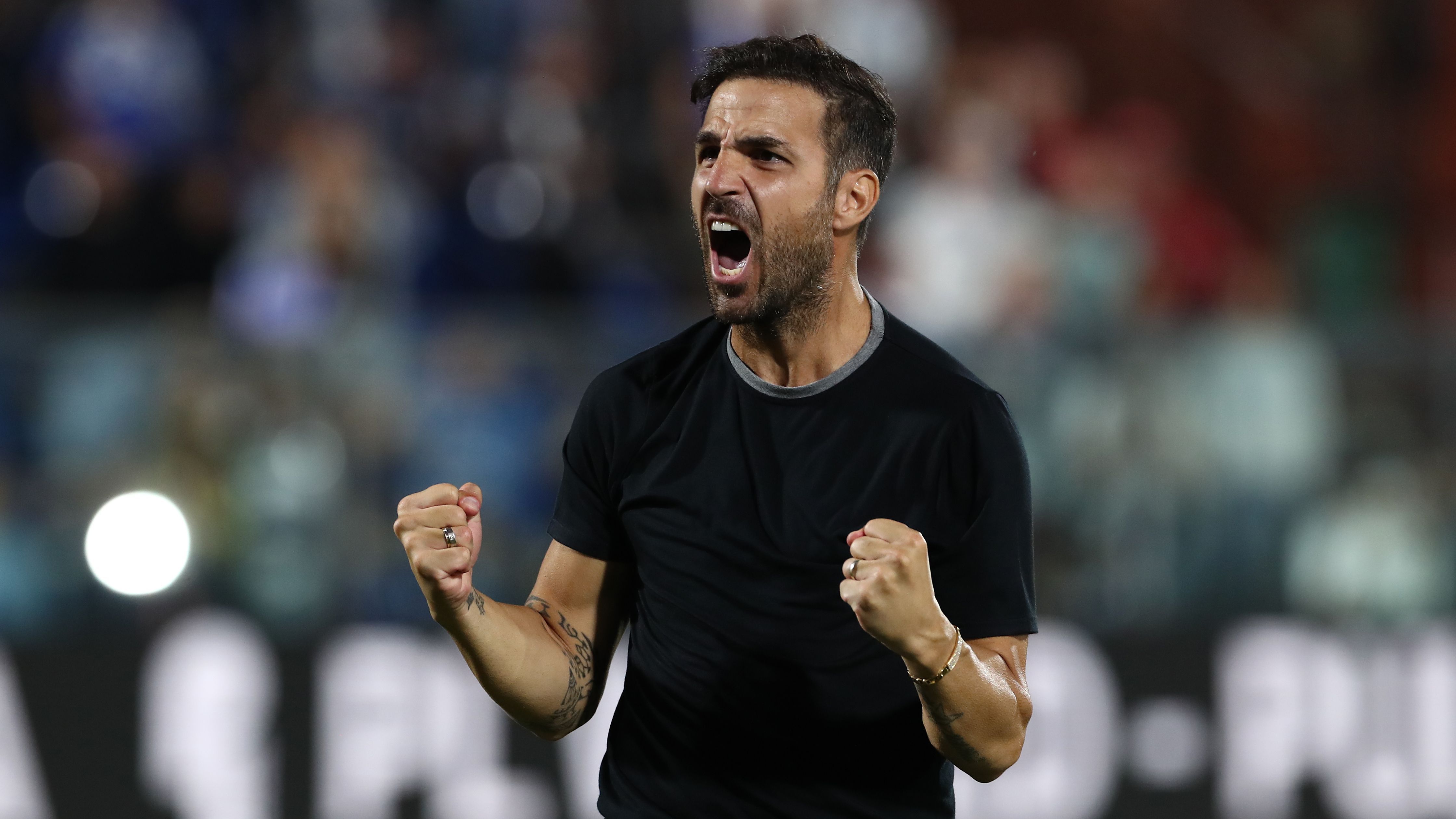 Cesc Fabregas to succeed Mikel Arteta is 'written in the stars' as ex-Arsenal star eyes Premier League return after Como adventure