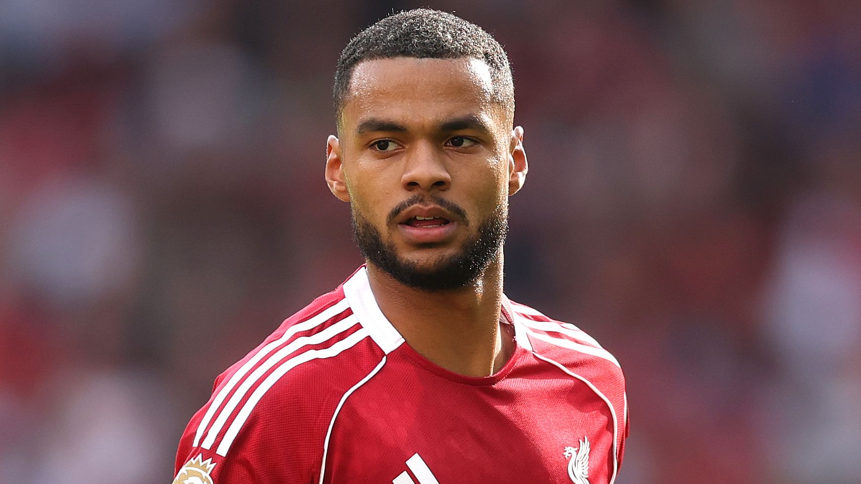 'We both laughed!' - Arsenal star Jurrien Timber breaks silence on clash with Liverpool ace Cody Gakpo during Gunners' defeat at Anfield