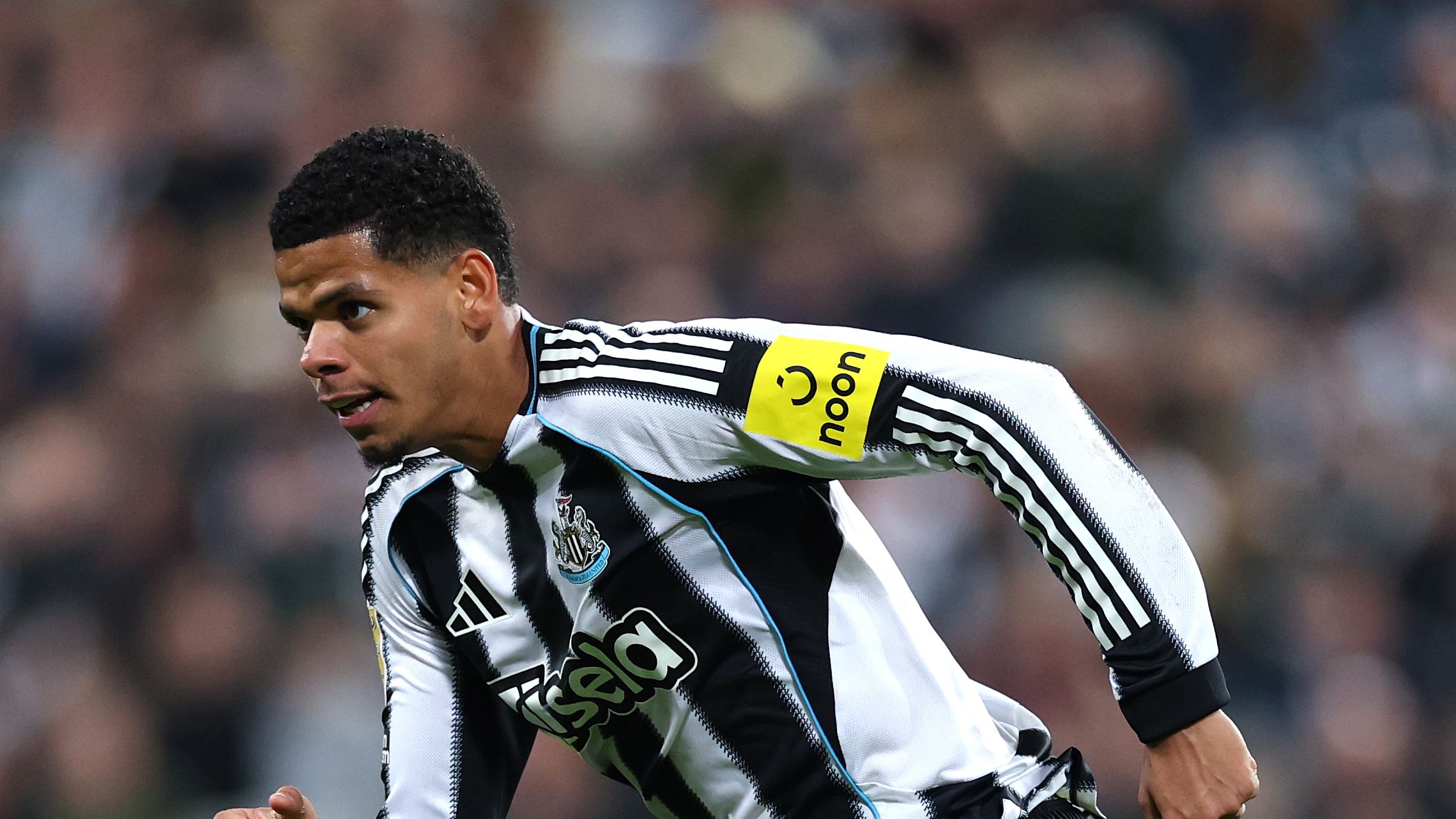 Eintracht Frankfurt plot January bid for Newcastle forward after having summer transfer bid shut down