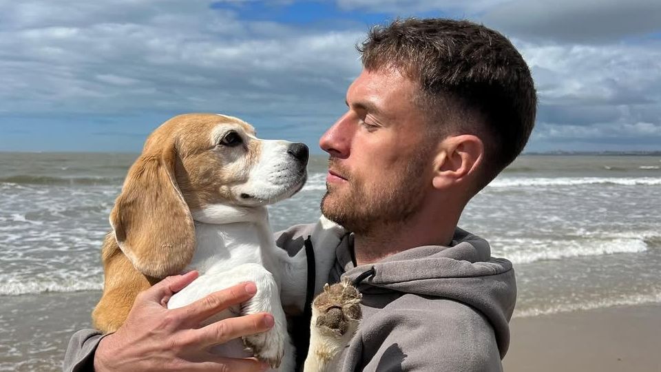 Former Arsenal star Aaron Ramsey offers $10,000 reward for return of his dog Halo after beloved pooch goes missing in Mexico